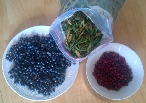 Blueberries, cranberries and labrador tea